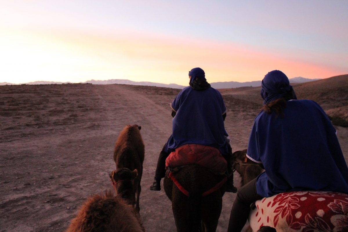 UConn School of Business Morocco Trip January 2025 Students Riding Camels