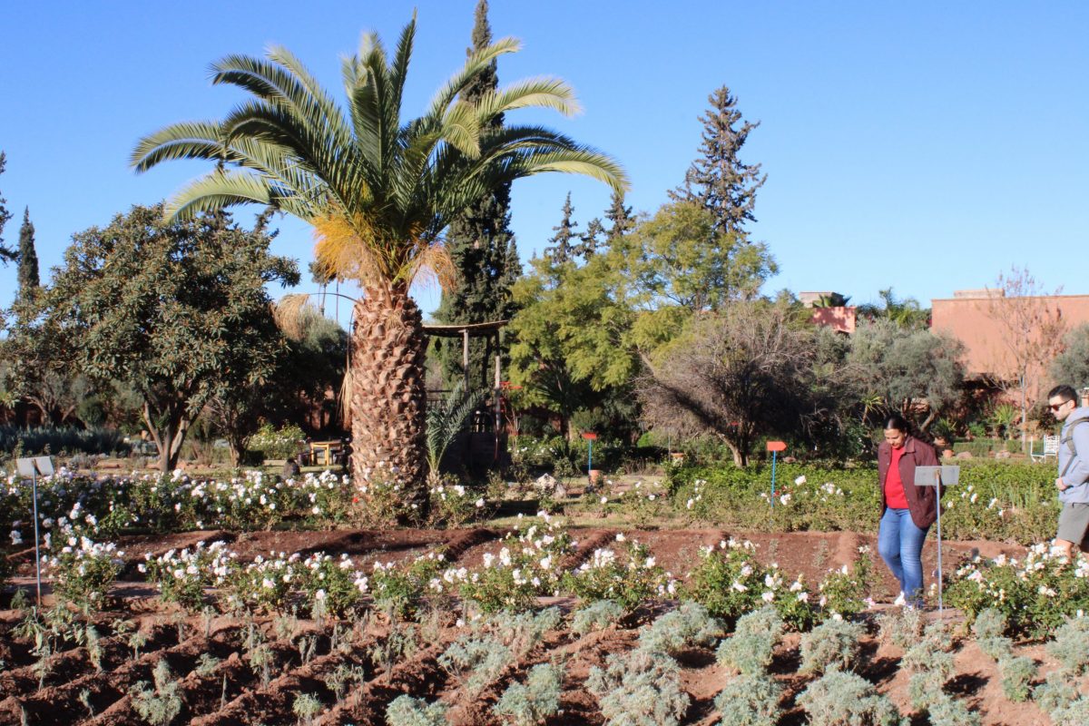 Garden in Morocco Trip for UConn School of Business January 2025